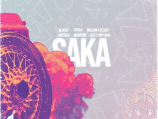 Blacko SA - Saka (feat. Mellow & Sleazy, Carter, Novatron, Shuga & Scotts Maphuma)
